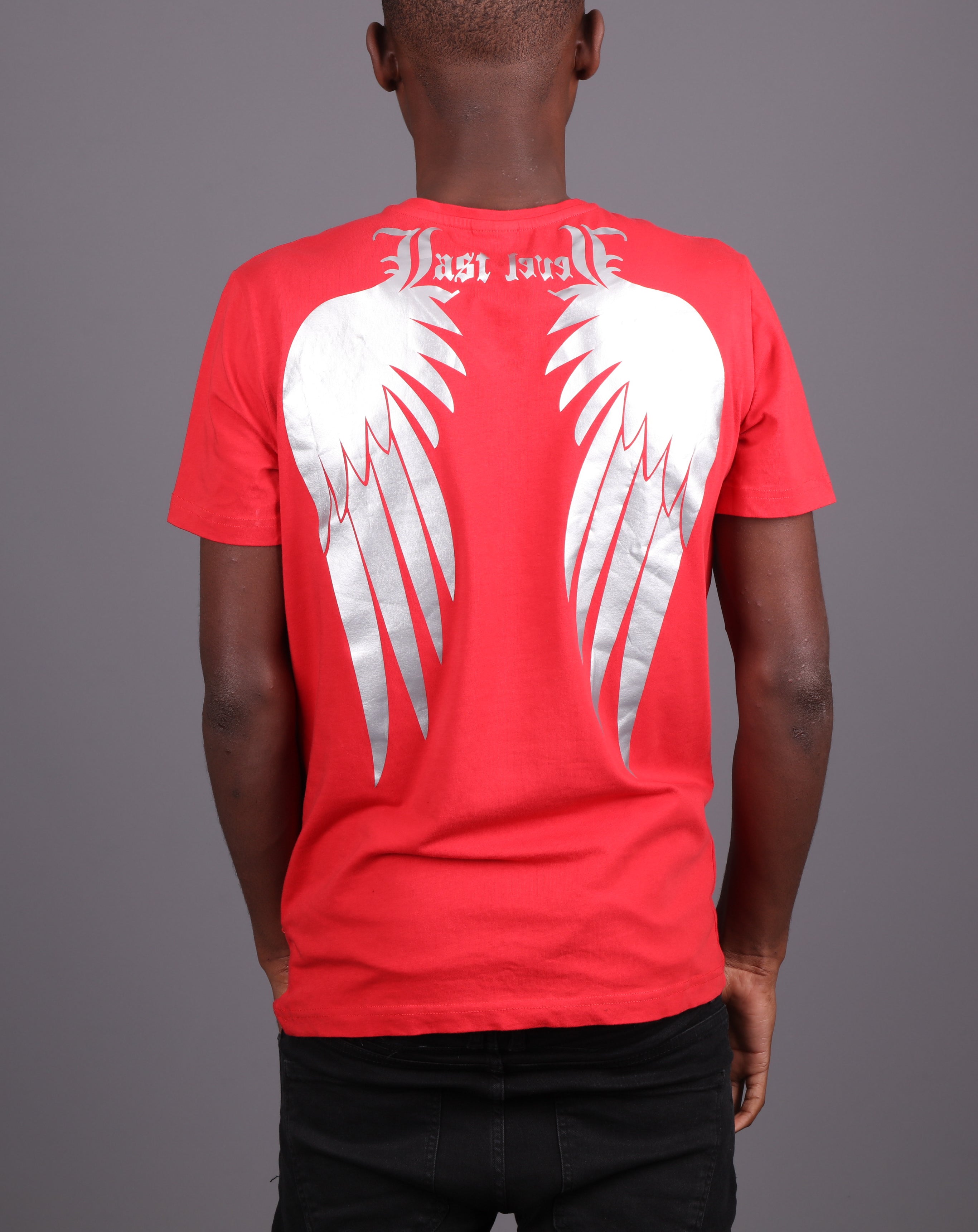 T-SHIRT LL WINGS HR